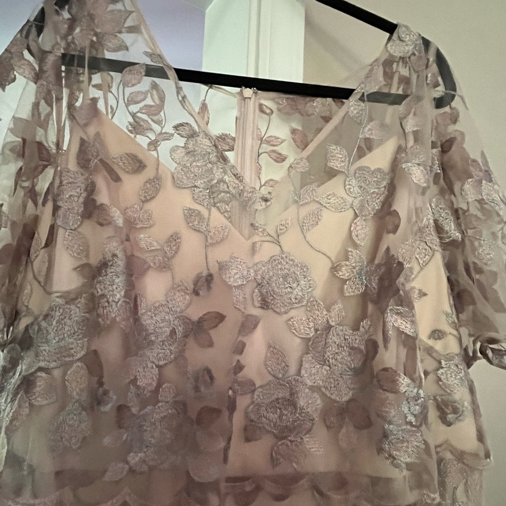 Adrianna Papell  floral embroidered long gown, Champagne.
